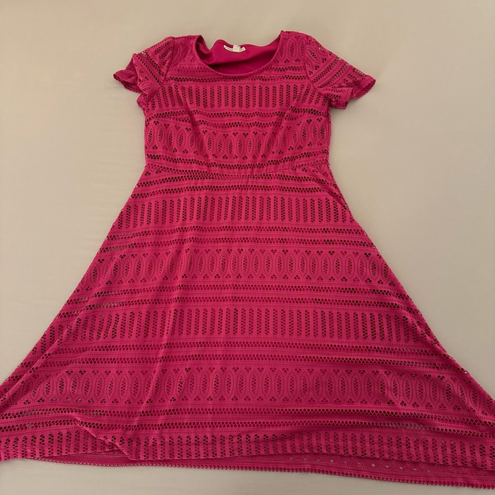 Dana Buchman Vibrant Lace Patterned Pink Dress Size Large